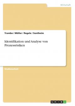Identifikation und Analyse von Prozessrisiken