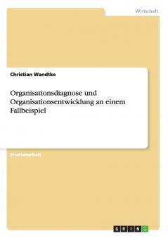 Organisationsdiagnose und Organisationsentwicklung an einem Fallbeispiel