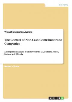 The Control of Non-Cash Contributions to Companies