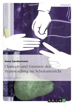 Chancen und Grenzen des Teamteaching im Schulunterricht