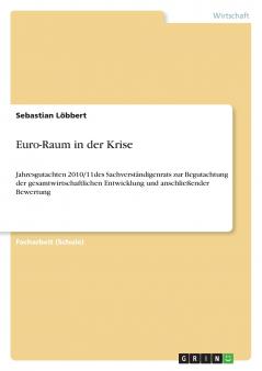 Euro-Raum in der Krise