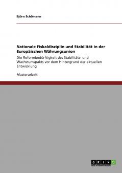 Nationale Fiskaldisziplin und Stabilität in der Europäischen Währungsunion