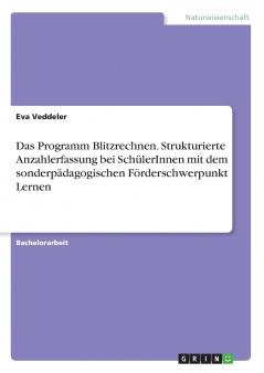 Das Programm Blitzrechnen. Strukturierte Anzahlerfassung bei SchülerInnen mit dem sonderpädagogischen Förderschwerpunkt Lernen