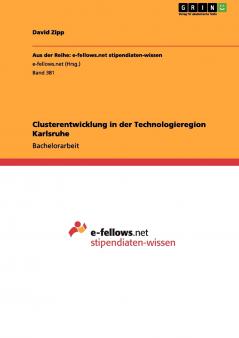 Clusterentwicklung in der Technologieregion Karlsruhe