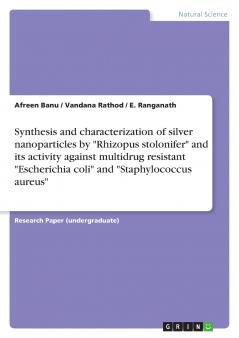 Synthesis and characterization of silver nanoparticles by Rhizopus stolonifer and its activity against multidrug resistant Escherichia coli and Staphylococcus aureus