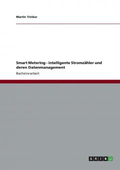 Smart Metering - intelligente Stromzähler und deren Datenmanagement