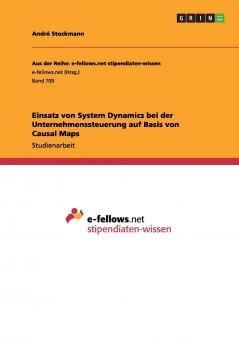 Einsatz von System Dynamics bei der Unternehmenssteuerung auf Basis von Causal Maps