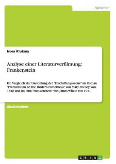 Analyse einer Literaturverfilmung