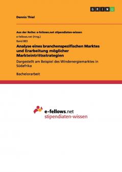 Analyse eines branchenspezifischen Marktes und Erarbeitung möglicher Markteintrittsstrategien