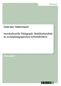 Interkulturelle Pädagogik. Multikulturalität in sozialpädagogischen Arbeitsfeldern