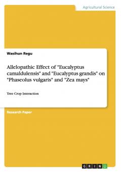Allelopathic Effect of Eucalyptus camaldulensis and Eucalyptus grandis on Phaseolus vulgaris and Zea mays
