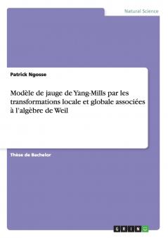 Modèle de jauge de Yang-Mills par les transformations locale et globale associées à l'algèbre de Weil