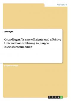 Grundlagen für eine effiziente und effektive Unternehmensführung in jungen Kleinstunternehmen