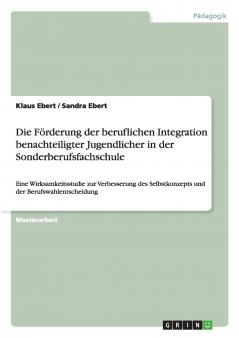 Die Förderung der beruflichen Integration benachteiligter Jugendlicher in der Sonderberufsfachschule