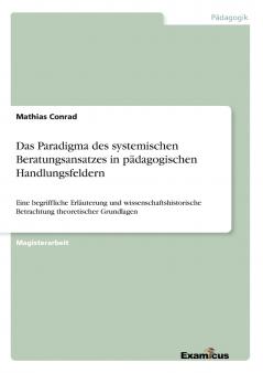 Das Paradigma des systemischen Beratungsansatzes in pädagogischen Handlungsfeldern