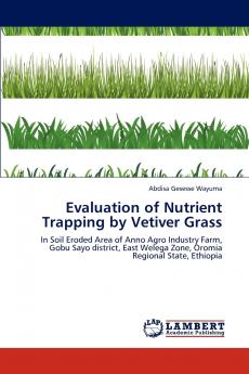 Evaluation of Nutrient Trapping by Vetiver Grass
