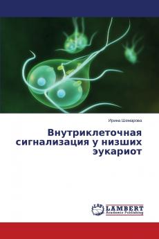 Vnutrikletochnaya signalizatsiya u nizshikh eukariot