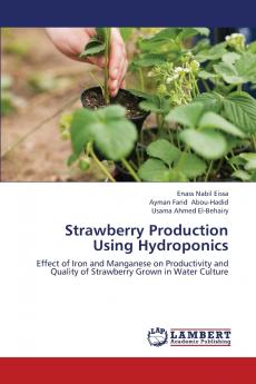 Strawberry Production Using Hydroponics