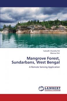 Mangrove Forest Sundarbans West Bengal
