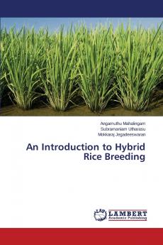An Introduction to Hybrid Rice Breeding