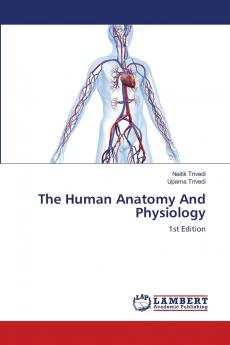 The Human Anatomy And Physiology