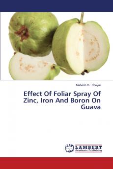 Effect Of Foliar Spray Of Zinc Iron And Boron On Guava