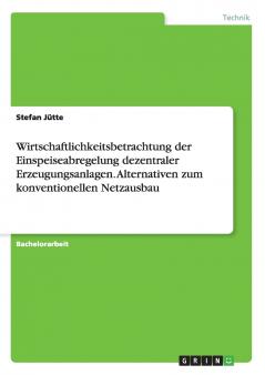 Wirtschaftlichkeitsbetrachtung der Einspeiseabregelung dezentraler Erzeugungsanlagen. Alternativen zum konventionellen Netzausbau