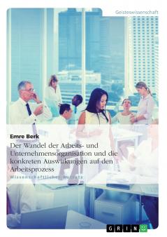 Der Wandel der Arbeits- und Unternehmensorganisation und die konkreten Auswirkungen auf den Arbeitsprozess