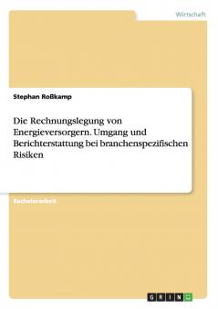 Die Rechnungslegung von Energieversorgern. Umgang und Berichterstattung bei branchenspezifischen Risiken