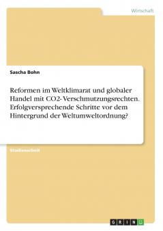 Reformen im Weltklimarat und globaler Handel mit CO2- Verschmutzungsrechten. Erfolgversprechende Schritte vor dem Hintergrund der Weltumweltordnung?