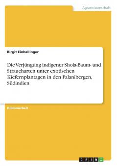 Die Verjüngung indigener Shola-Baum- und Straucharten unter exotischen Kiefernplantagen in den Palanibergen Südindien