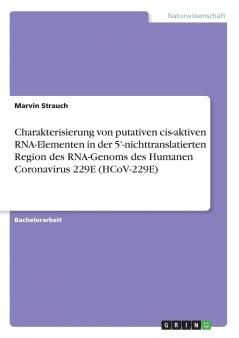 Charakterisierung von putativen cis-aktiven RNA-Elementen in der 5'-nichttranslatierten Region des RNA-Genoms des Humanen Coronavirus 229E (HCoV-229E)