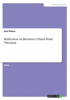 Reflection on Brouwer's Fixed Point Theorem