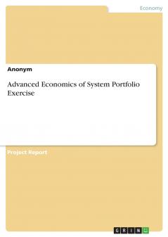 Advanced Economics of System Portfolio Exercise