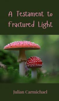 A Testament to Fractured Light