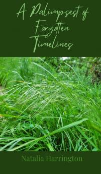 A Palimpsest of Forgotten Timelines