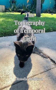 The Topography of Temporal Light