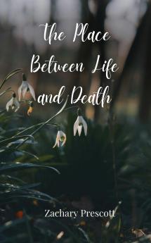 The Place Between Life and Death