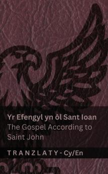 Yr Efengyl yn ôl Sant Ioan / The Gospel According to Saint John (Y Beibl / The Bible)