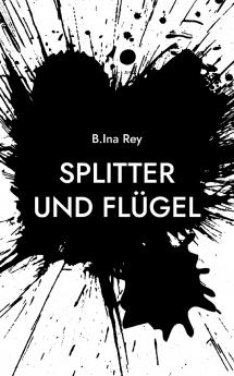 Splitter und Flügel