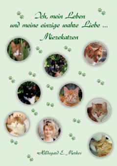 Ich mein Leben und meine einzige wahre Liebe ... Miezekatzen