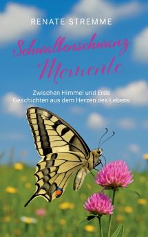 Schwalbenschwanz  Momente