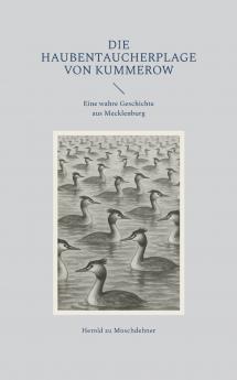 Die Haubentaucherplage von Kummerow