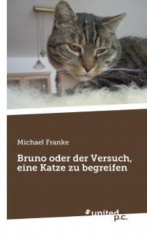 Bruno oder der Versuch eine Katze zu begreifen