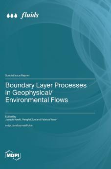 Boundary Layer Processes in Geophysical/Environmental Flows