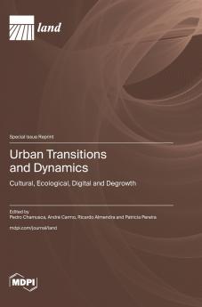 Urban Transitions and Dynamics