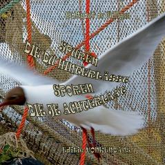 Spuren die du hinterlässt