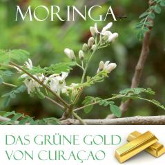 Das grüne Gold von Curacao