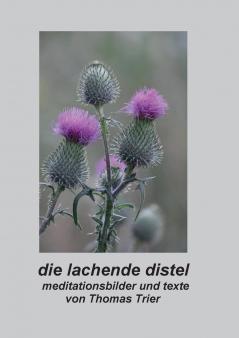 Die lachende Distel