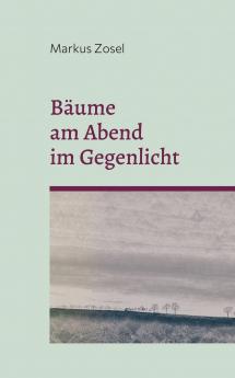 B��ume am Abend im Gegenlicht